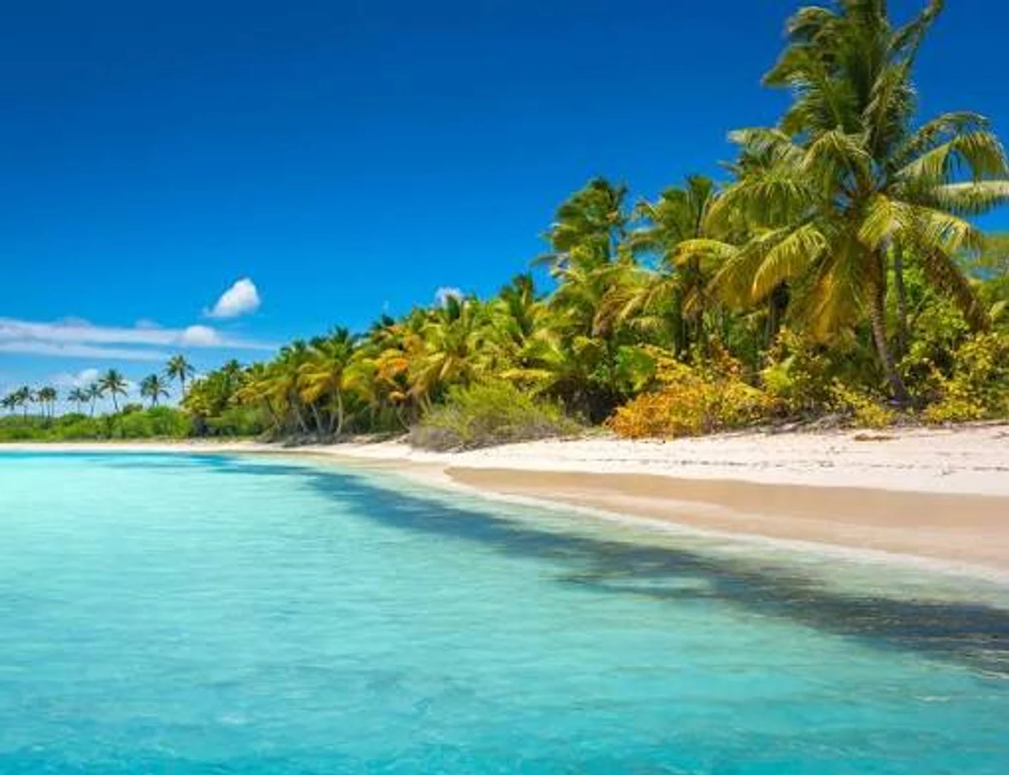 Imagem de Punta Cana